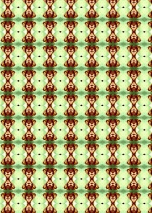 Product picture 50 Patterns Set 4 Pack 1