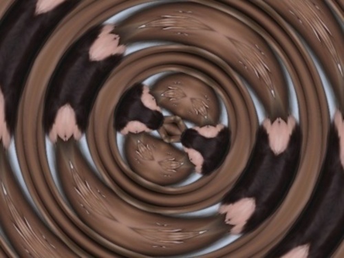 Product picture 50 April 13 Kaleidoscope Patterns